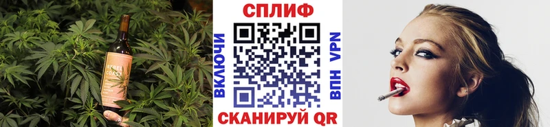 Cannafood конопля  Сегежа 