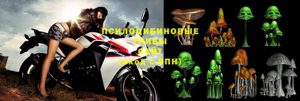 крисы Нязепетровск