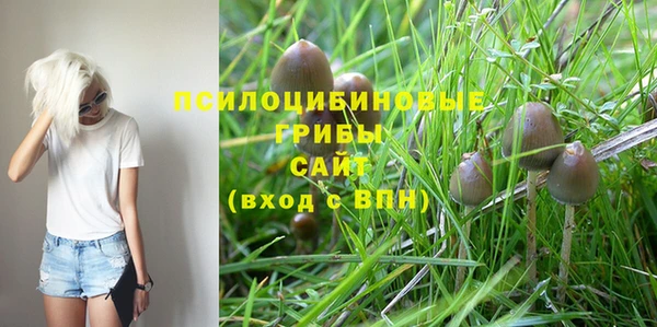 кристаллы Заволжье