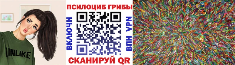 хочу   Сегежа  Псилоцибиновые грибы Magic Shrooms 