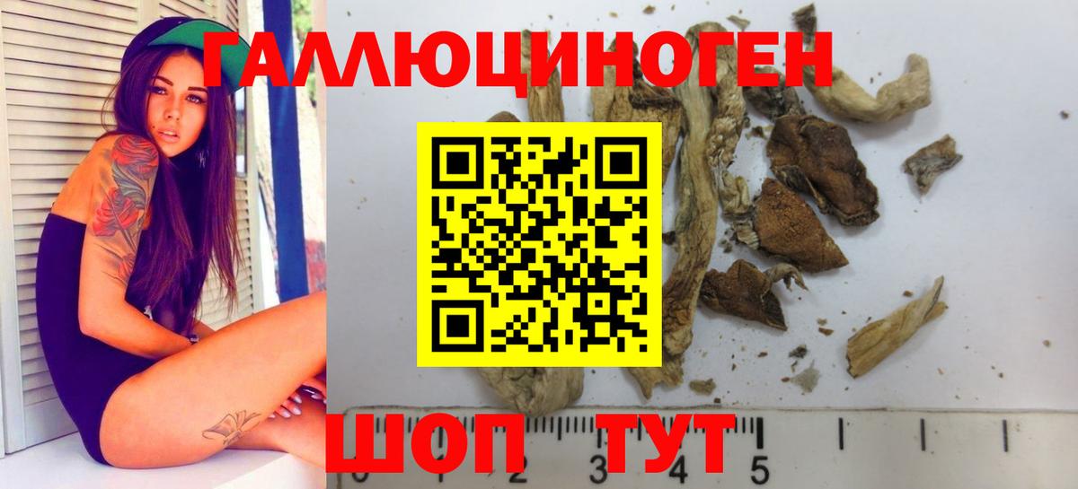 Галлюциногенные грибы ЛСД  Вход с VPN  Псилоцибиновые грибы GOLDEN TEACHER  Сегежа 
