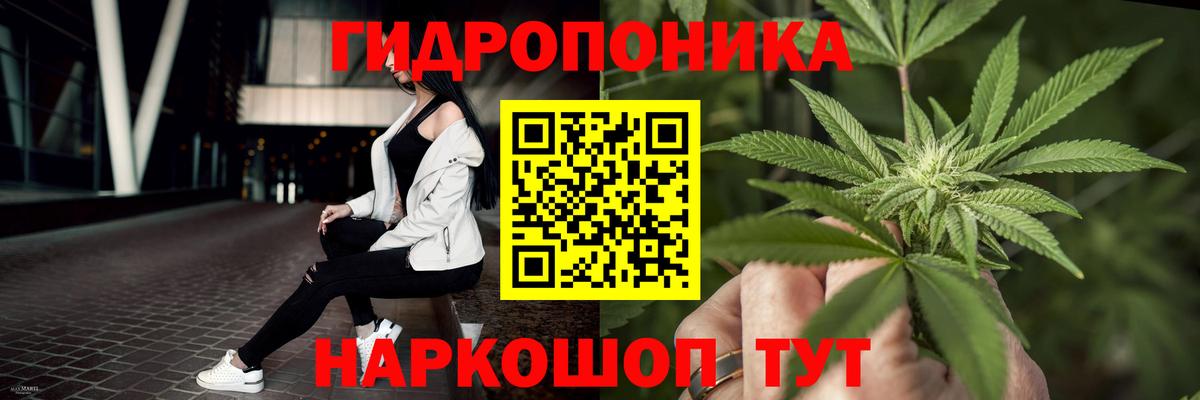 Марихуана OG Kush  Каннабис сатива  МАРИХУАНА индика  Вход с VPN  Сегежа 